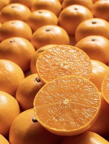 せとか 高級みかん 愛媛県産 産地厳選 2キロ ギフト 贈答用 化粧箱 濃厚な甘さ