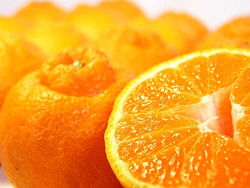 【 糖度13度以上 】 デコポン 本場 熊本県産 2kg (約8個前後) 糖度センサー認証済 みかん でこぽん 不知火 完熟 柑橘 ご家庭用 贈答用 可 西村青果