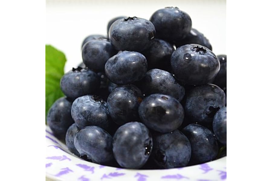 ブルーベリー 国産 2kg 東北産 冷凍