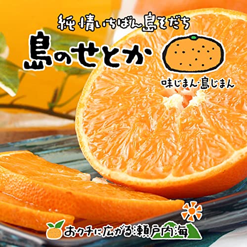 希望の島 せとか 訳あり品 サイズ込 愛媛 中島産 みかん 柑橘 (2kg)