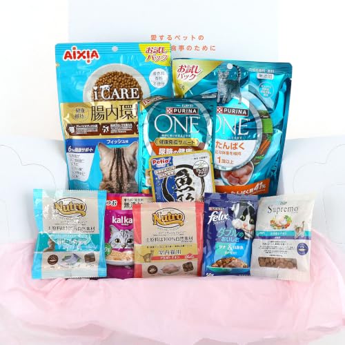 ペットプロフィール Family Box 成猫A