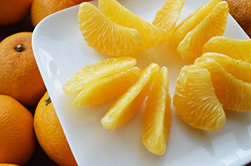 和歌山産 八朔 10kg（箱込み約10kg） 訳あり ご家庭用