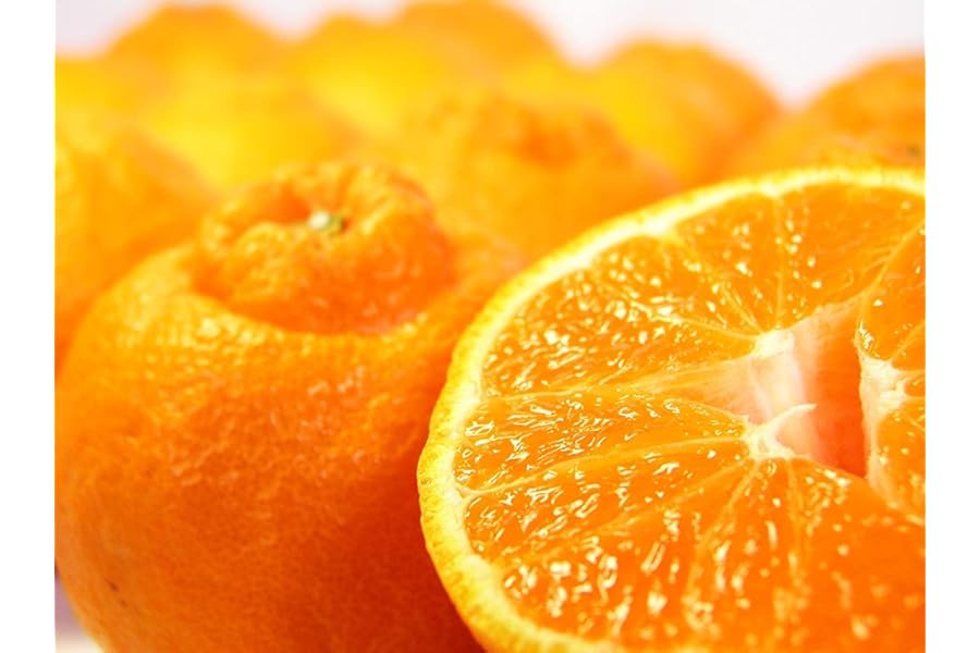 【 糖度13度以上 】 デコポン 本場 熊本県産 2kg (約8個前後) 糖度センサー認証済 みかん でこぽん 不知火 完熟 柑橘 ご家庭用 贈答用 可 西村青果