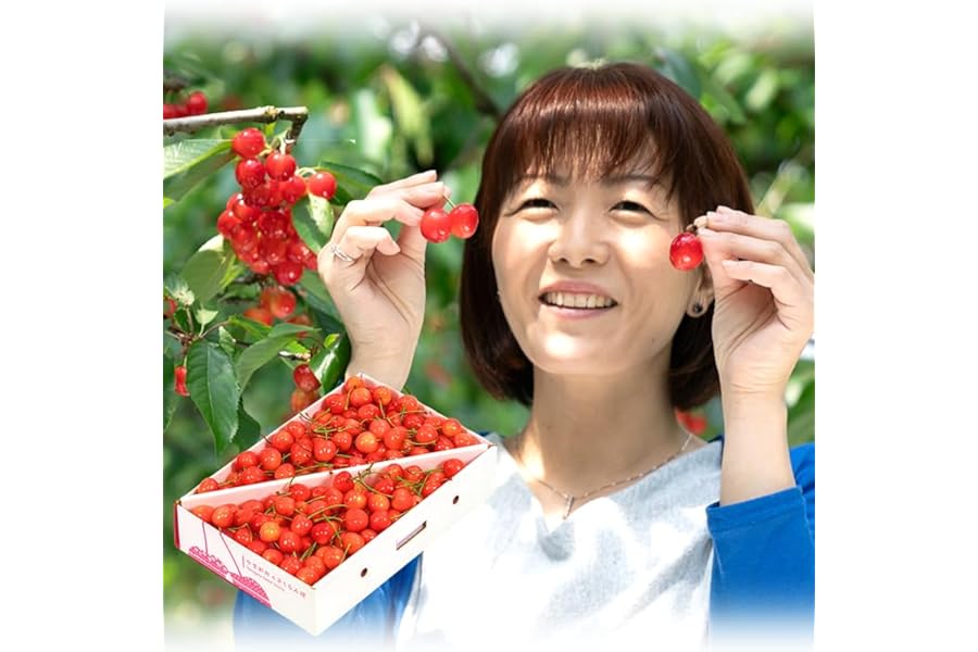 竹城青果 山形県産 露地 ご家庭用 さくらんぼ 佐藤錦 ばら詰め Lサイズ 1kg