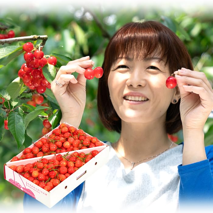 竹城青果 山形県産 露地 ご家庭用 さくらんぼ 佐藤錦 ばら詰め Lサイズ 1kg