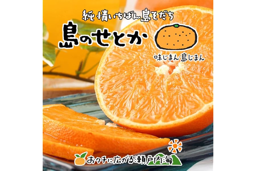 希望の島 せとか 訳あり品 サイズ込 愛媛 中島産 みかん 柑橘 (2kg)