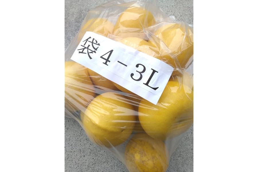 高知産 土佐文旦 袋入り 大玉４−３Ｌサイズ 約１０ｋｇ 訳あり品