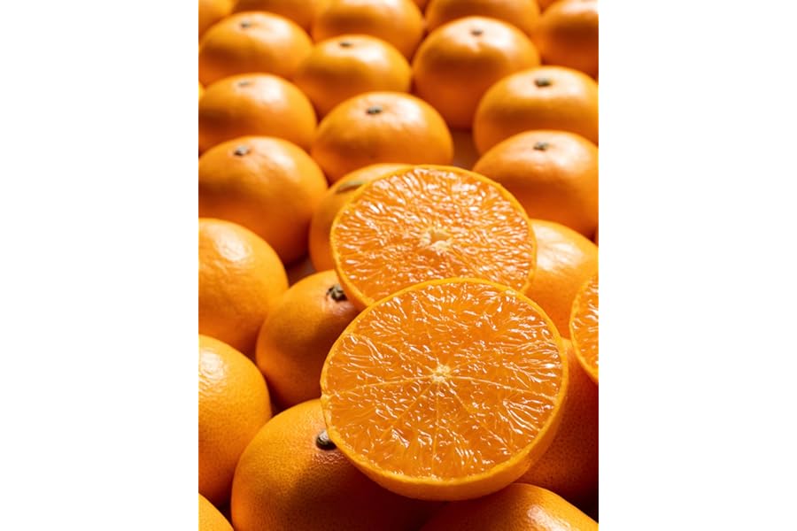 せとか 高級みかん 愛媛県産 産地厳選 2キロ ギフト 贈答用 化粧箱 濃厚な甘さ