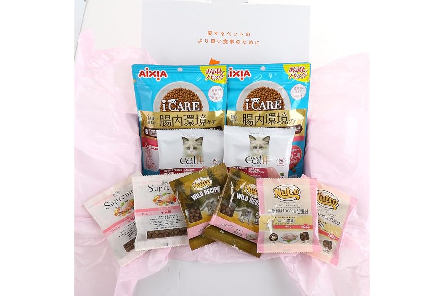ペットプロフィール Family Box 子猫